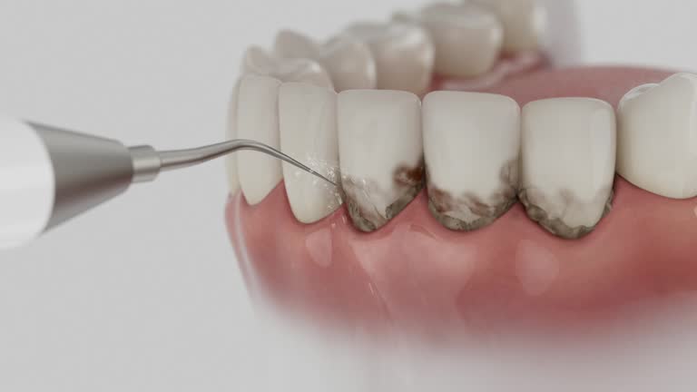 Reliable Dental contractor in Mount Morris, MI by Dentist Open Now